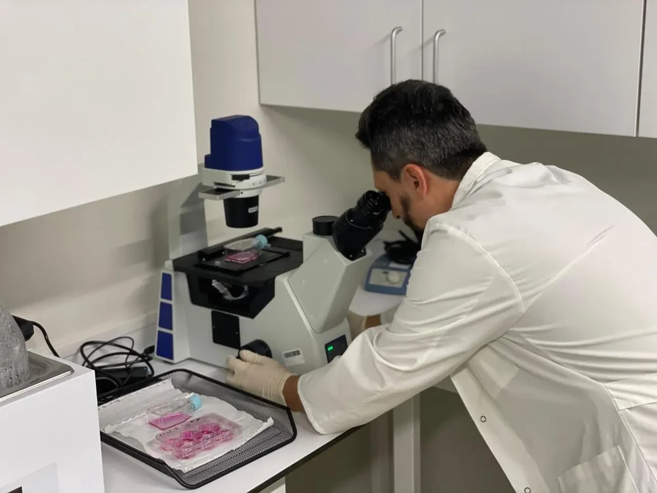 Aziz Sancar’dan kanser araştırmasına tebrik