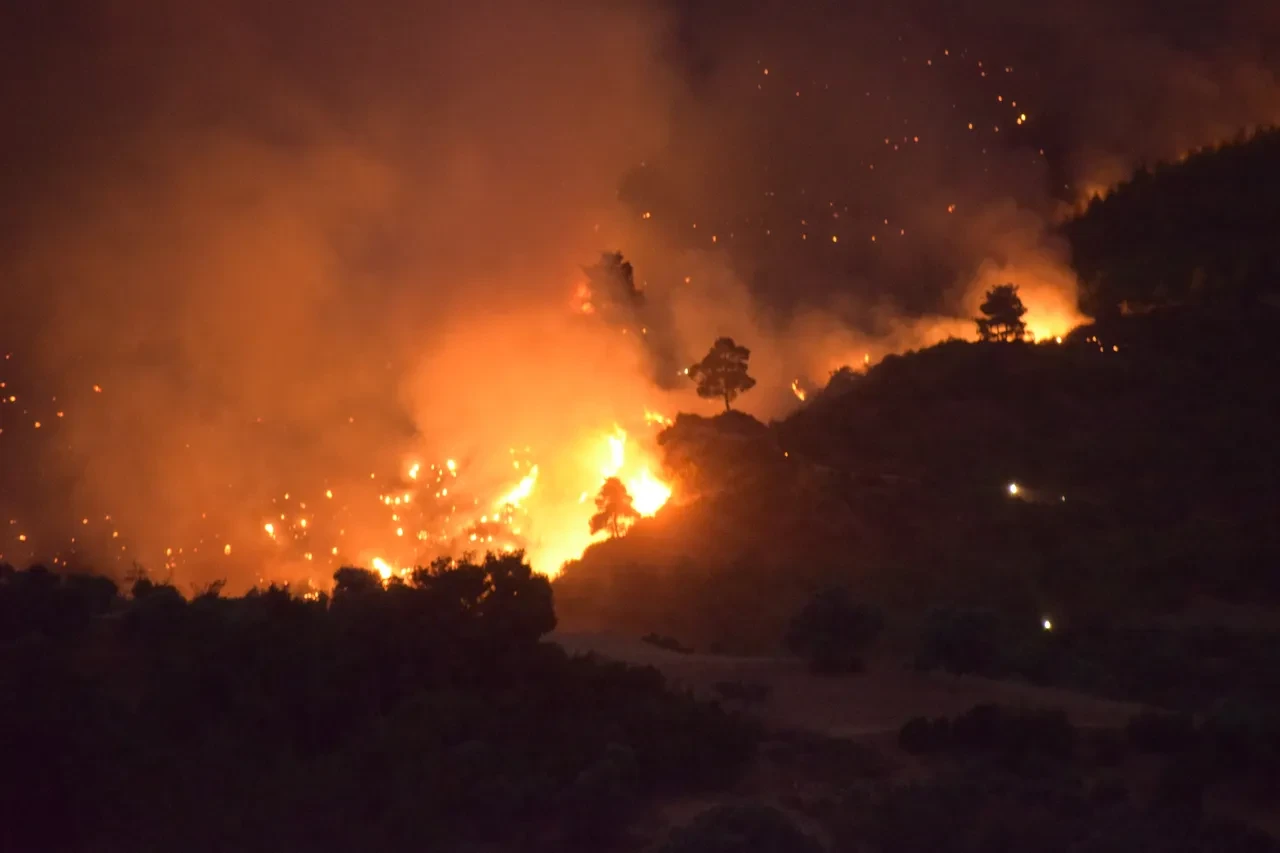 Bakan Kurum, yangın bölgesindeki acı bilançoyu açıkladı: İzmir'de büyük hasar