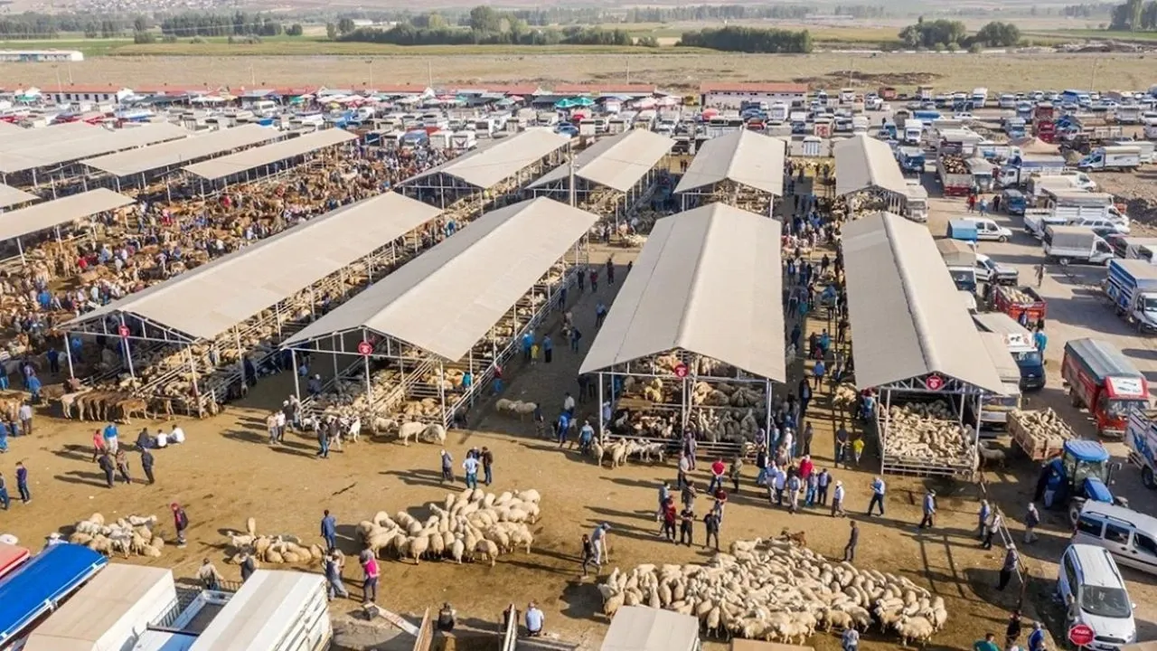 Bakanlık 81 ile acil kodlu yazı gönderdi! Tüm hayvan pazarları ikinci bir emre kadar kapatıldı