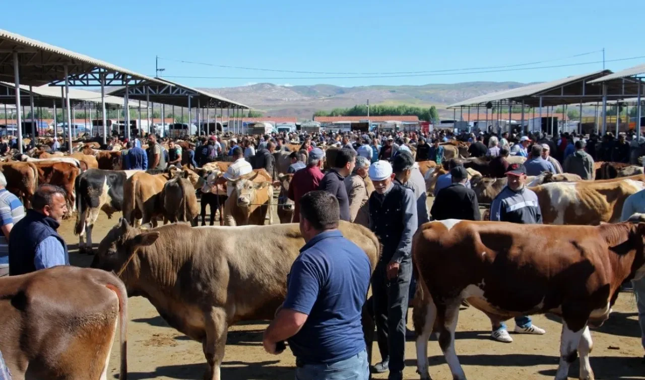 Bakanlık 81 ile acil kodlu yazı gönderdi! Tüm hayvan pazarları ikinci bir emre kadar kapatıldı
