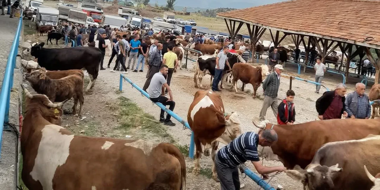 Bakanlık 81 ile acil kodlu yazı gönderdi! Tüm hayvan pazarları ikinci bir emre kadar kapatıldı