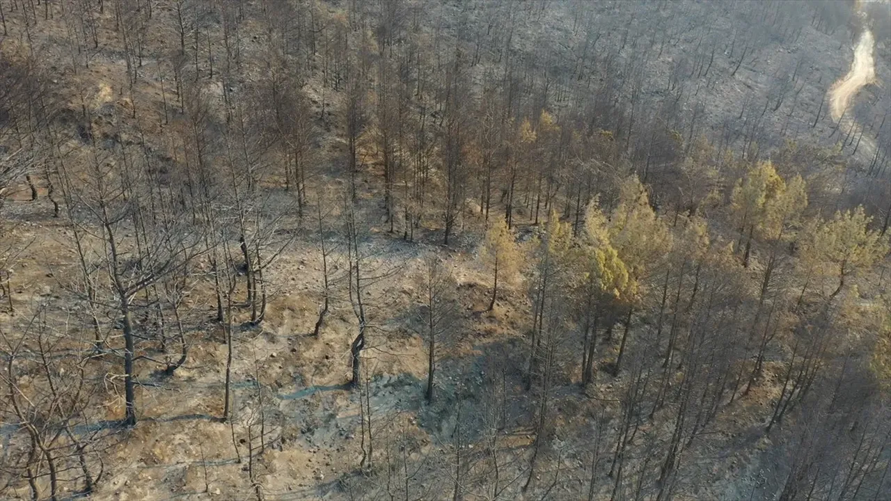 Hatay'da yanan alanların görüntüsü yürekleri dağladı