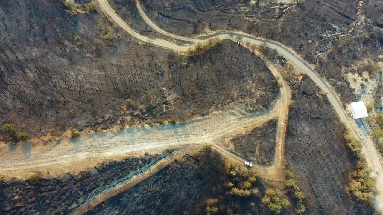 Hatay'da yanan alanların görüntüsü yürekleri dağladı