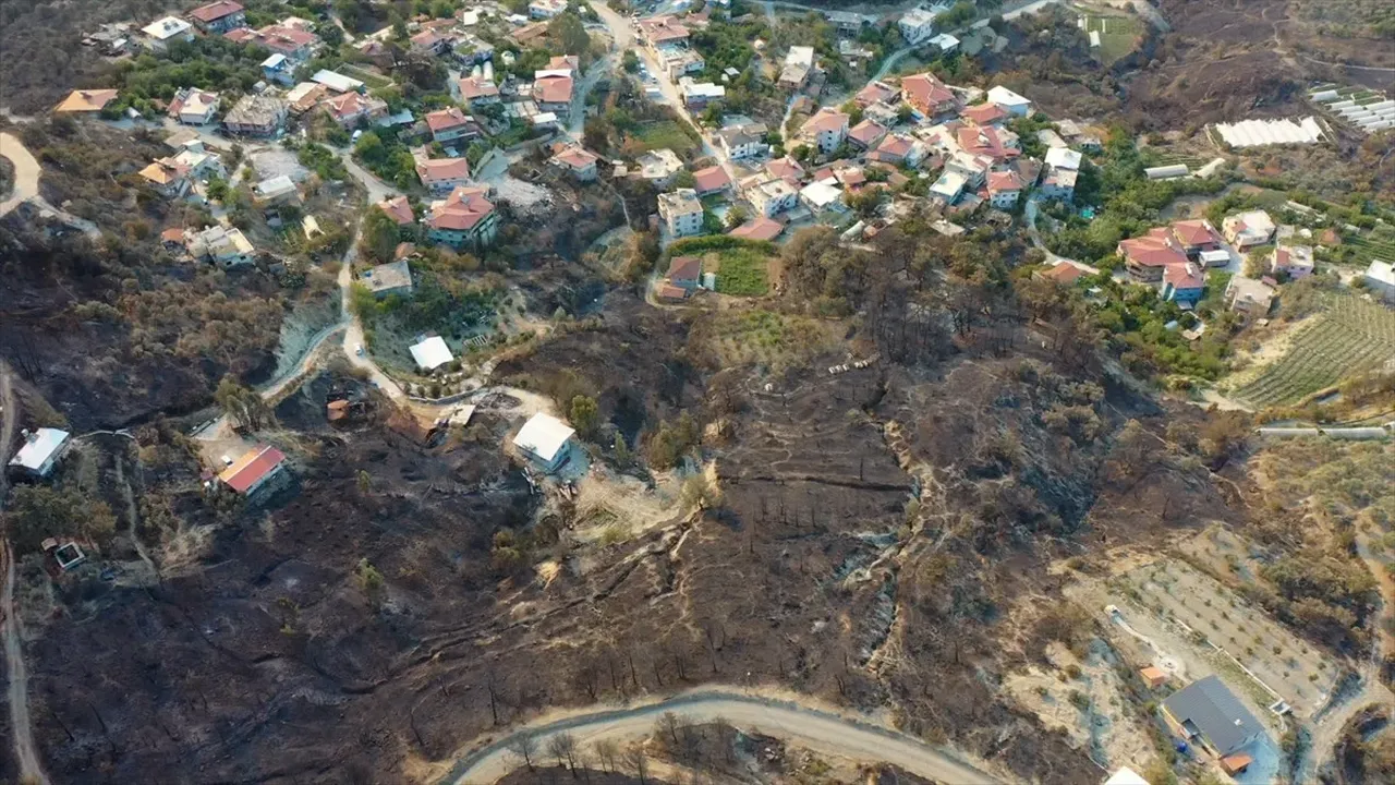 Hatay'da yanan alanların görüntüsü yürekleri dağladı