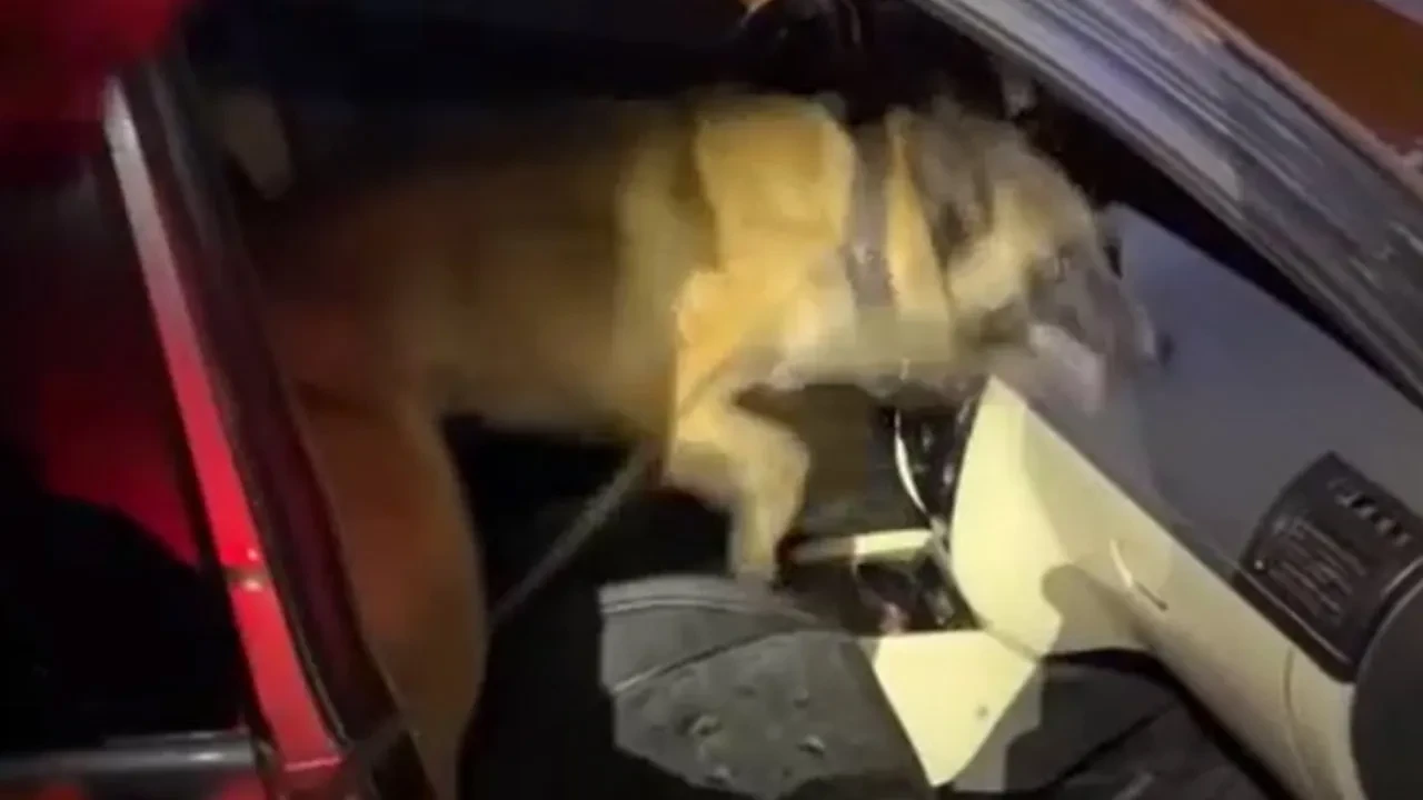 Hepsi otomobilin teybinden çıktı! Polis zulayı böyle patlattı