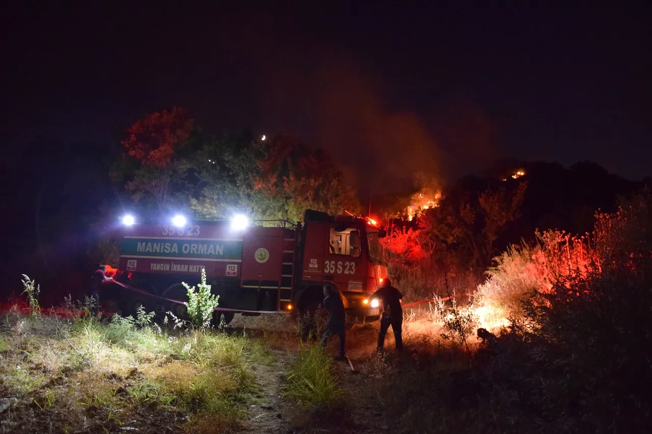 Kene bu defa da orman yaktı! İtirafıyla sebebi ortaya çıktı