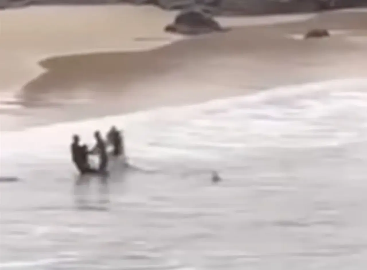 Korkunç köpek balığı saldırısı: Çocuğun yardımına koşanlar da vahşi hayvanla karşı karşıya kaldı