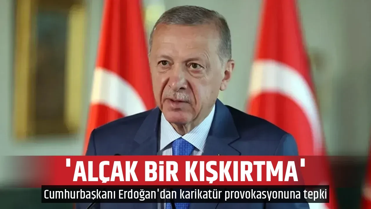 'ALÇAK KIŞKIRTMA'