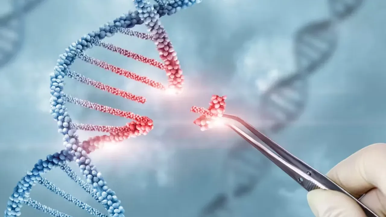37 bin yıllık DNA sırrı çözüldü: İlk salgınların nereden geldiği belli oldu