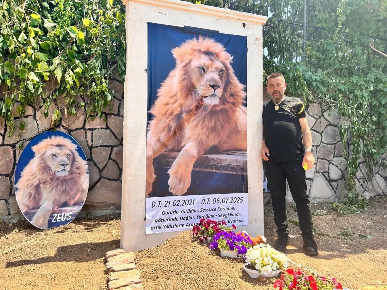 Çiftçiyi yaralayan aslan için mezar yapıldı! Asılan afişte yazılanları görenler şaştı kaldı
