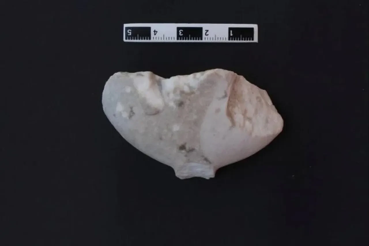 Göbeklitepe'den daha eski! Tüm tarihi değiştirecek keşif