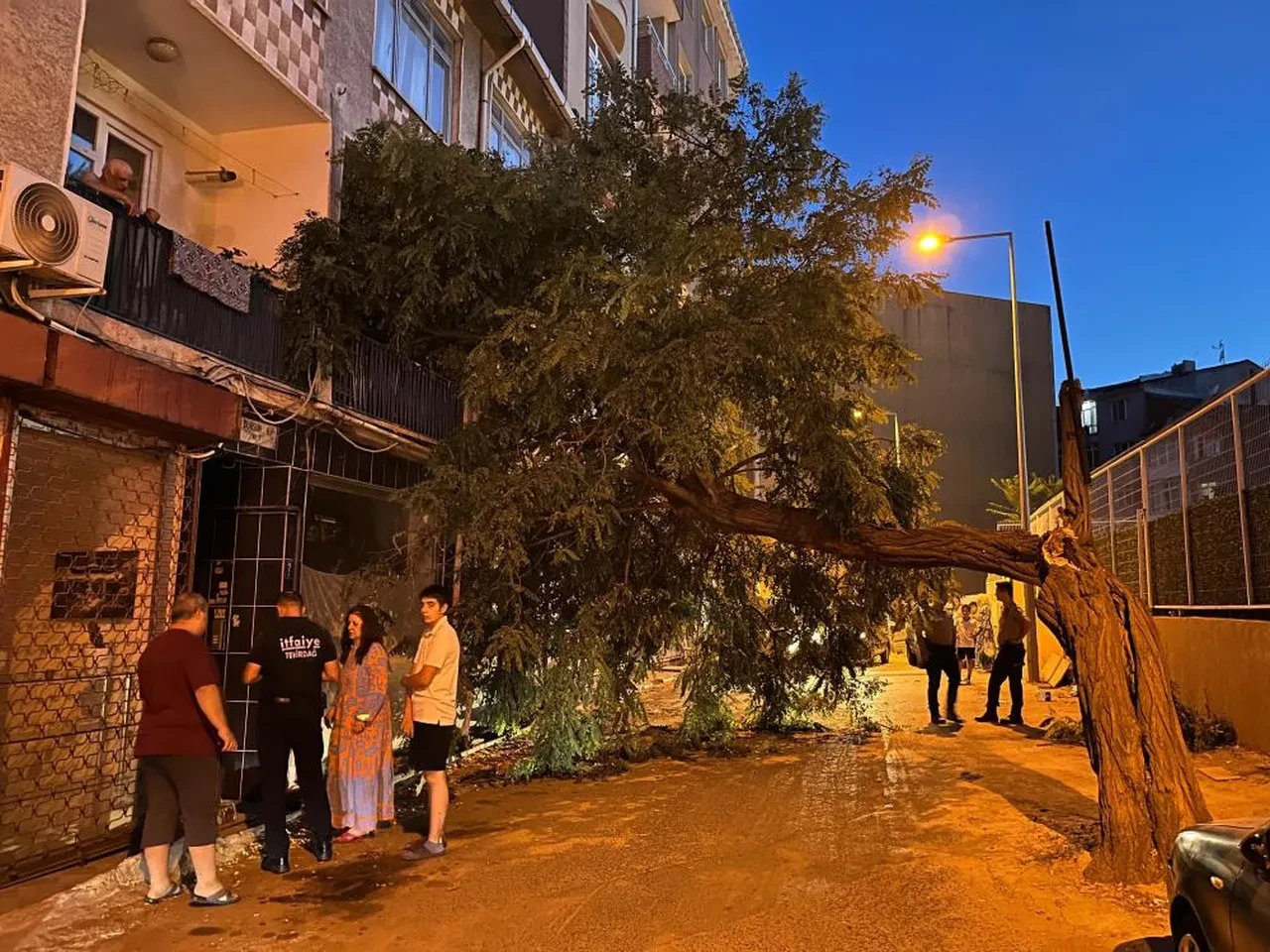 Balkonda kahve içerken üzerine ağaç devrildi