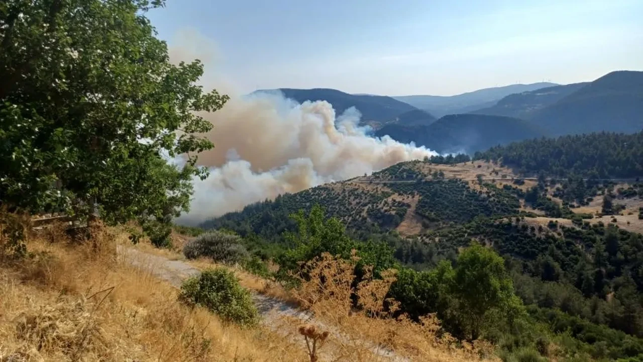 Bursa ve Balıkesir sınırında orman yangını büyüyor: Köy tahliye edildi