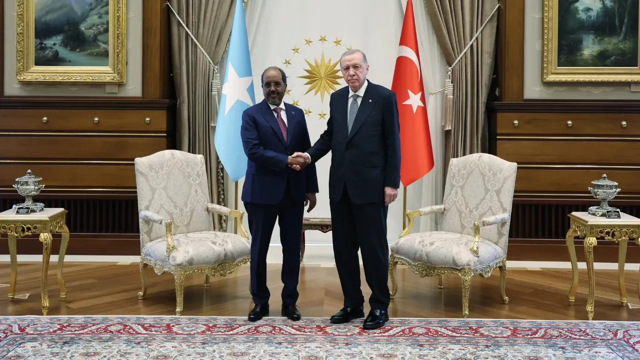 Cumhurbaşkanı Erdoğan Somali Cumhurbaşkanı Hasan Şeyh Mahmud’u kabul etti