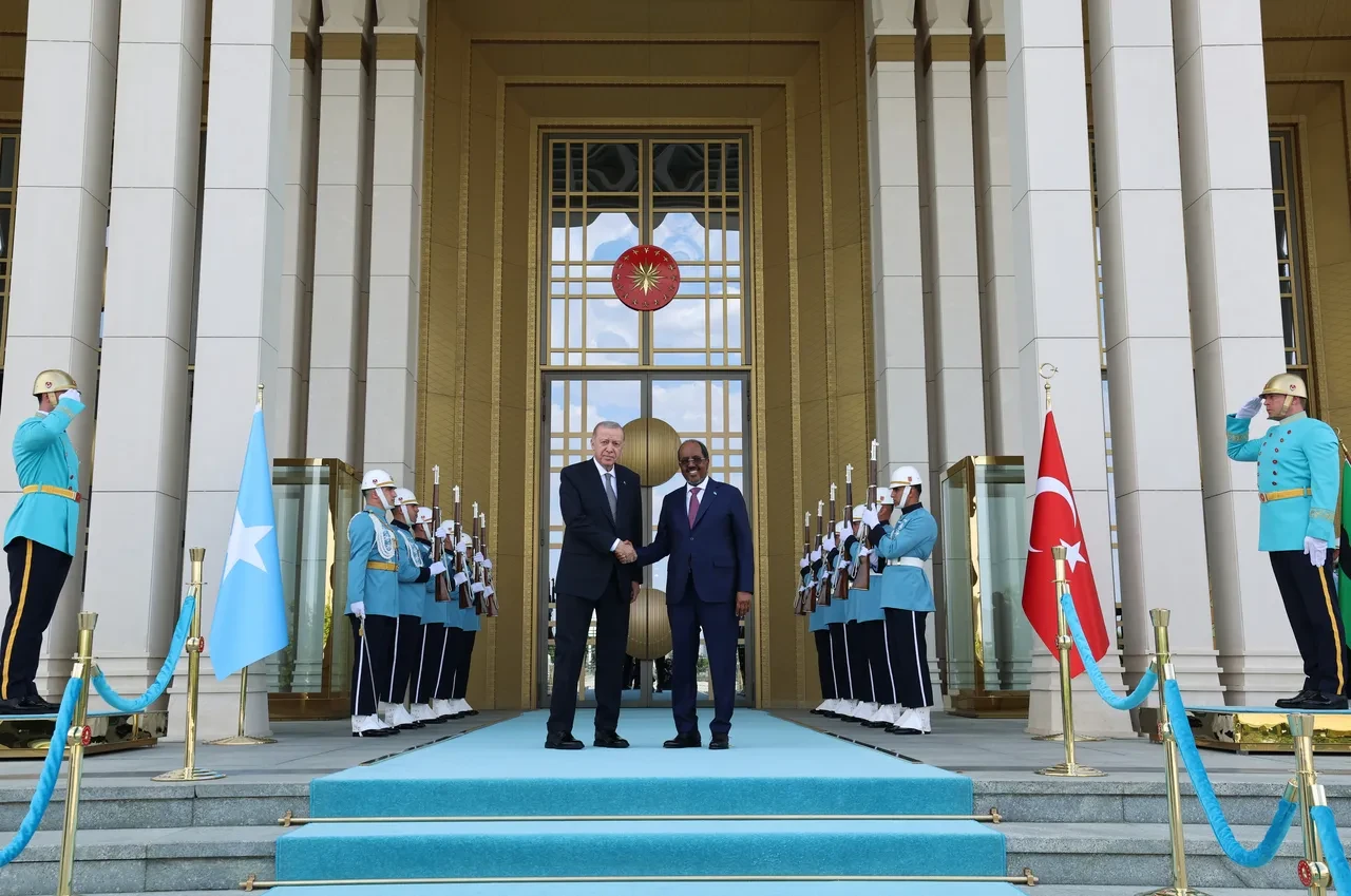Cumhurbaşkanı Erdoğan Somali Cumhurbaşkanı Hasan Şeyh Mahmud’u kabul etti