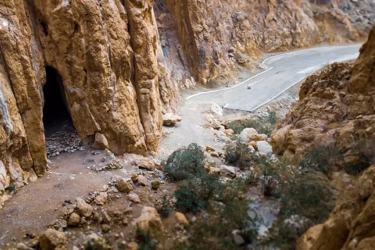 MHP lideri Bahçeli'den terörsüz Türkiye vurgusu! PKK'nın silah bırakması sonrası ilk açıklama 