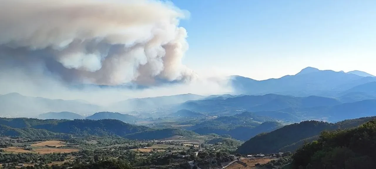 Suriye’deki orman yangını Türkiye sınırına ulaştı!