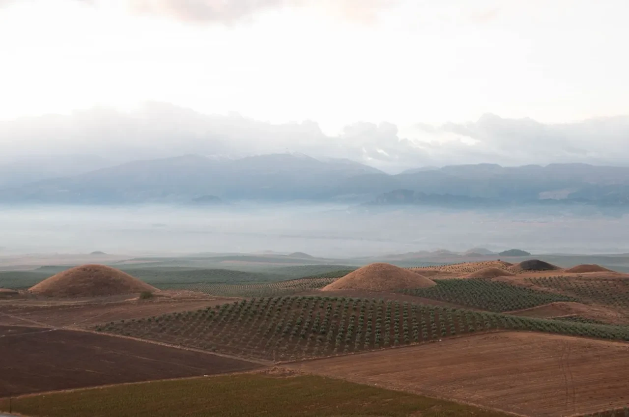 Anadolu'nun kadim hazinesi artık dünya mirası: Sardes ve Bin Tepeler UNESCO Listesi'nde!