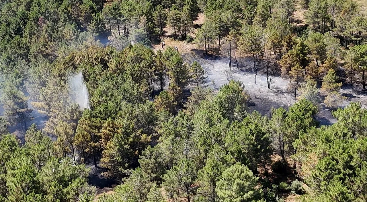 Aydos Ormanı'nda yangın! Havadan ve karadan müdahale edildi