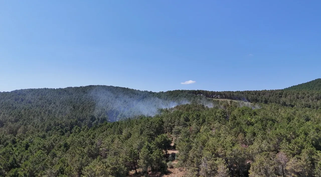 Aydos Ormanı'nda yangın! Havadan ve karadan müdahale edildi