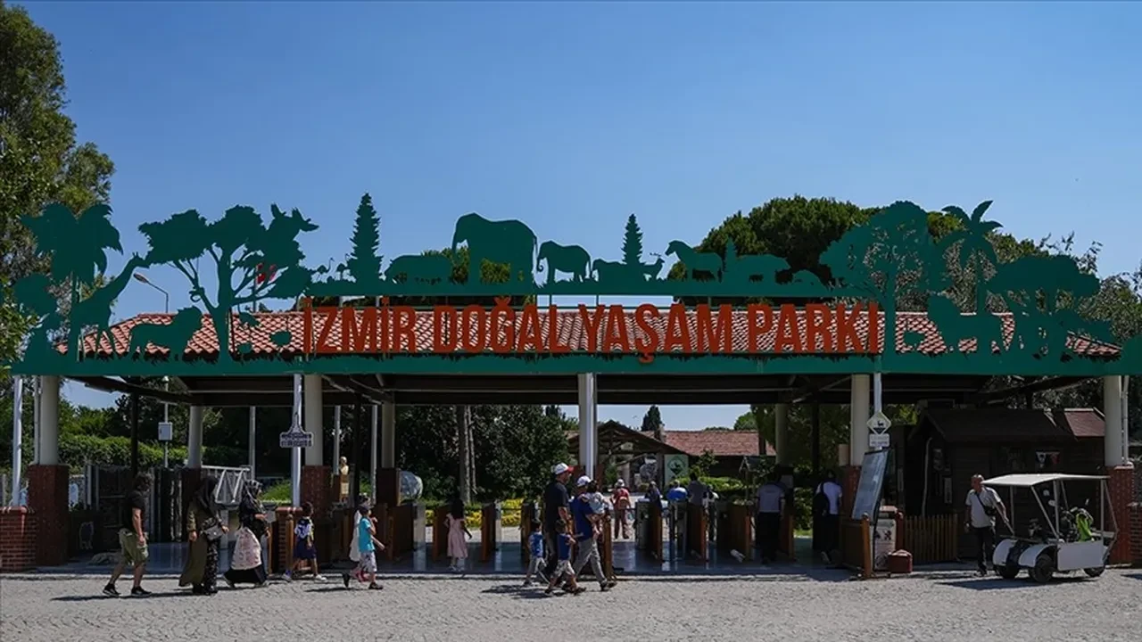 İzmir Doğal Yaşam Parkı'nda aslan saldırısı: Yavru Pars'tan kötü haber