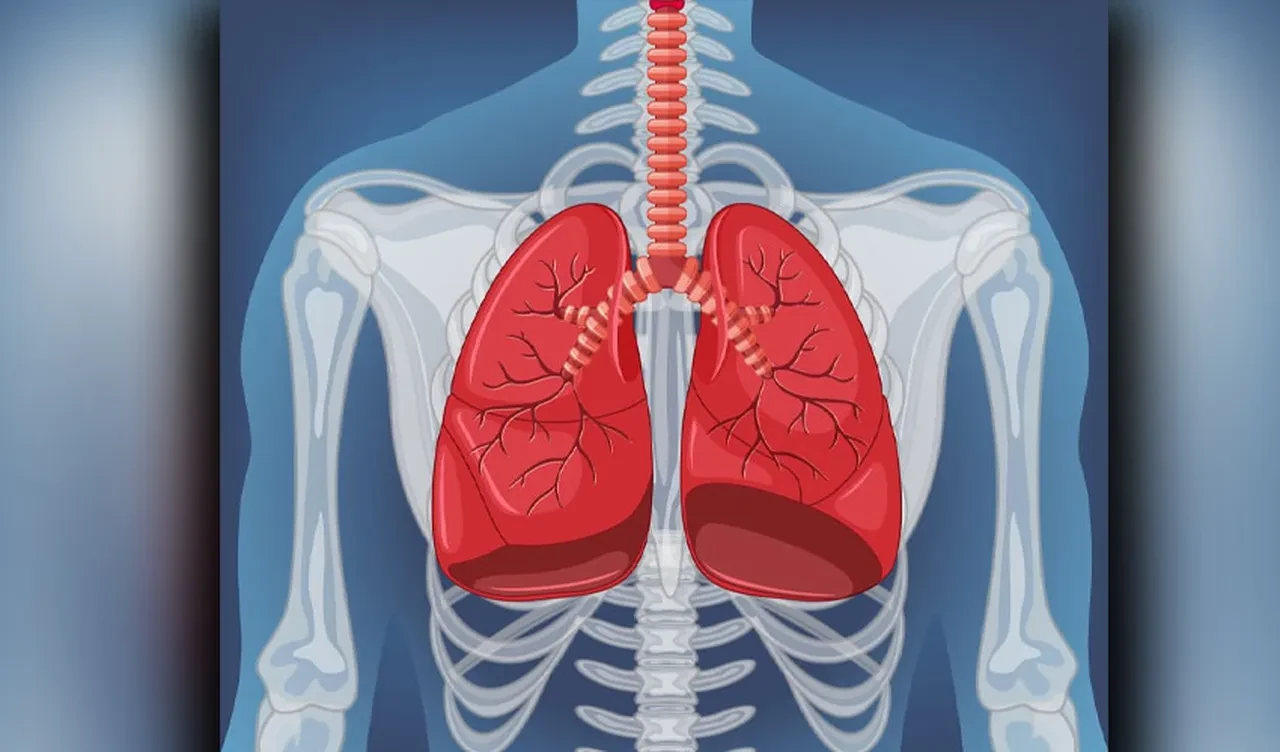ABD'de 13 yıl sonra bir kişi akciğer vebasından hayatını kaybetti