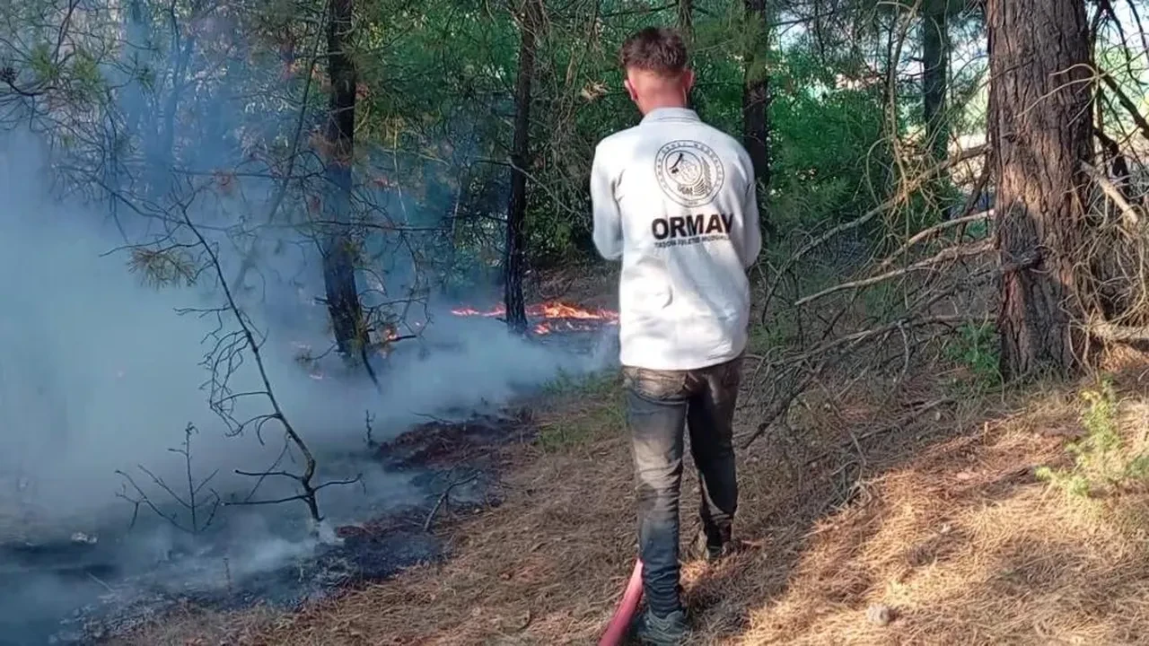 Amasya'da orman yangını: 25 dekar alan zarar gördü!