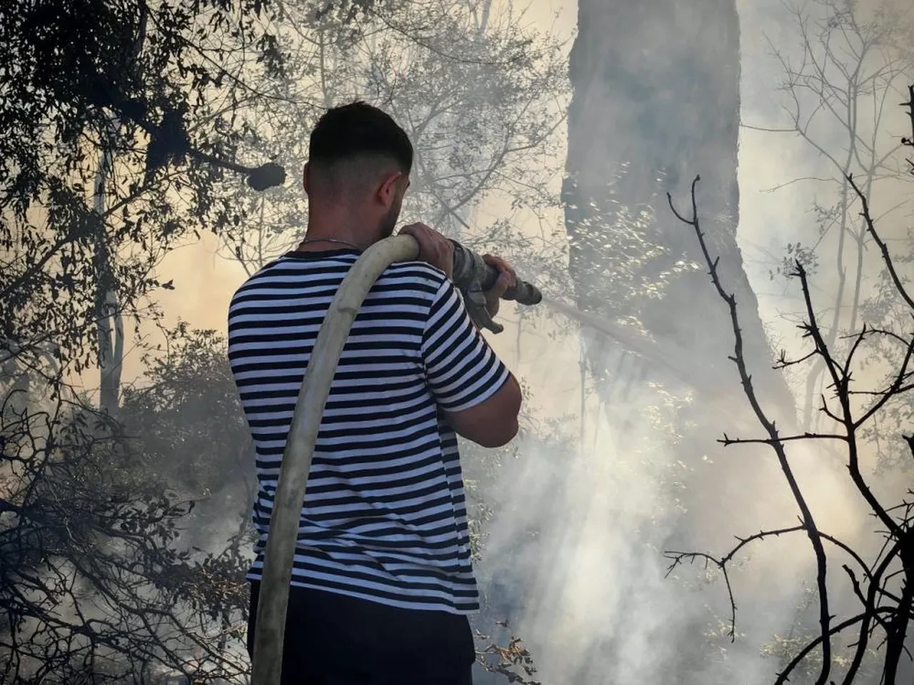 Edirne'de alevler kısa sürede ormanı sardı: Havadan ve karadan müdahale