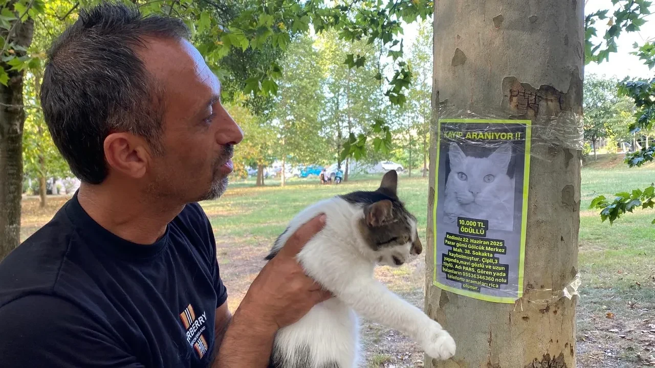 Gözündeki yaş bir an olsun dinmiyor! Her yerde onu arıyor: Bulana 10 bin TL ödül