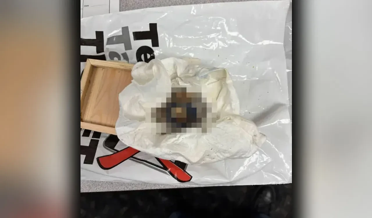 Plaj yürüyüşünde dehşete düştü: Hediye paketinden çıkanı görünce polise koştu