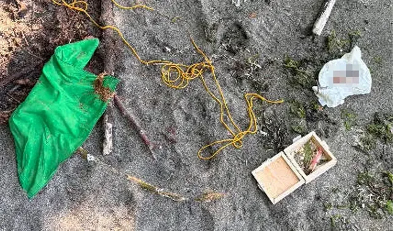 Plaj yürüyüşünde dehşete düştü: Hediye paketinden çıkanı görünce polise koştu