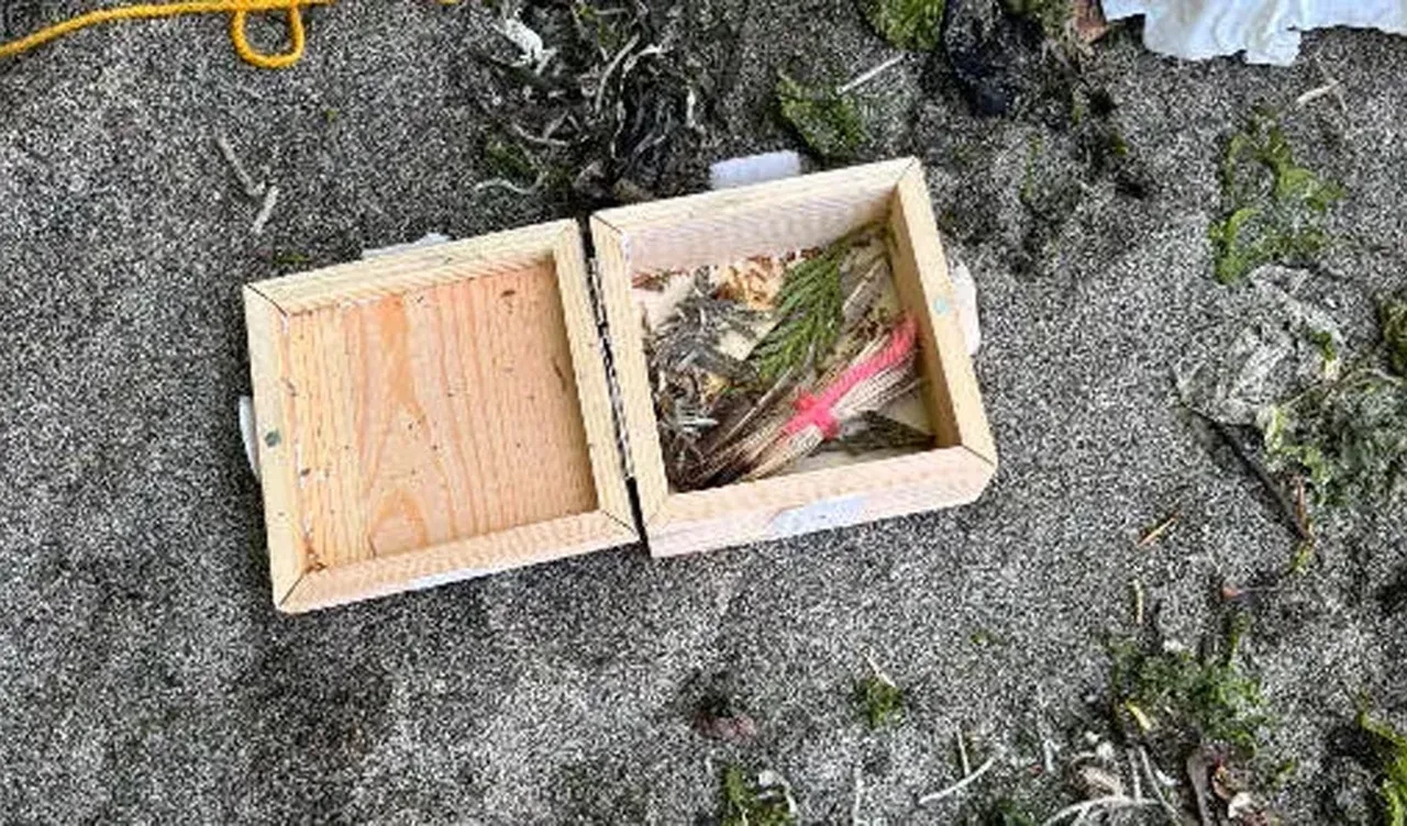 Plaj yürüyüşünde dehşete düştü: Hediye paketinden çıkanı görünce polise koştu