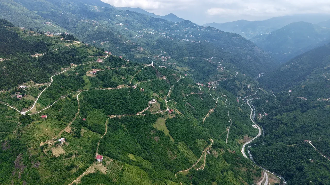 Trabzon, Washington'ı geride bıraktı