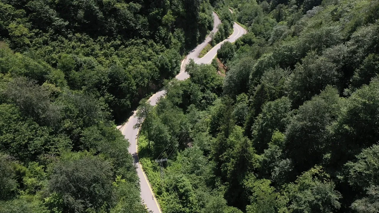 Trabzon, Washington'ı geride bıraktı