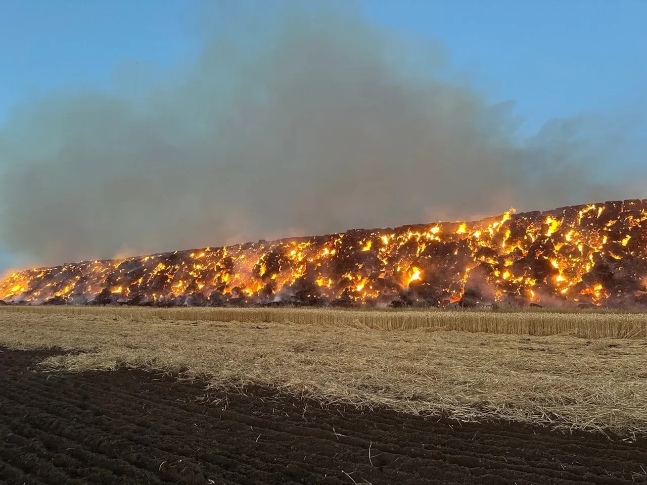 Yıldırım düştü orman küle dönmeye başladı! ABD'de yangın felaketi