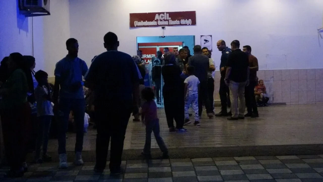 Cezaevinden çıkan adam eşini 20'den fazla bıçak darbesiyle öldürdü