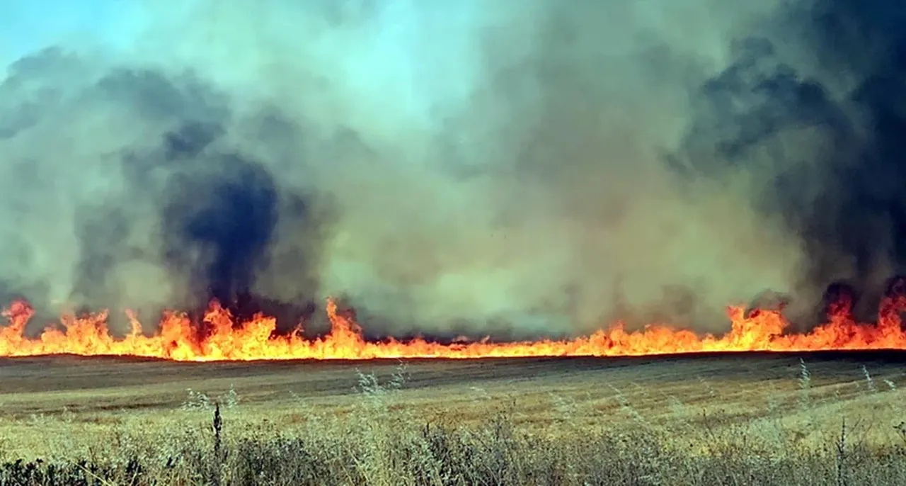 Edirne'de korkutan yangın! Dumanlar yolu kapladı: 5 araç birbirine girdi