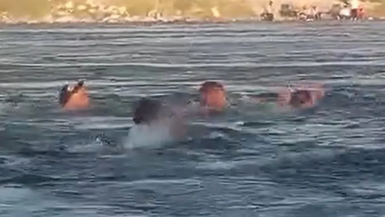 Fırat Nehri'nde korku dolu anlar! Boğulmaktan son anda kurtuldular 