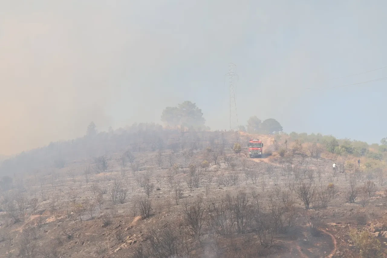 Orman yangınları için İtfaiye ekiplerinden kritik uyarı!