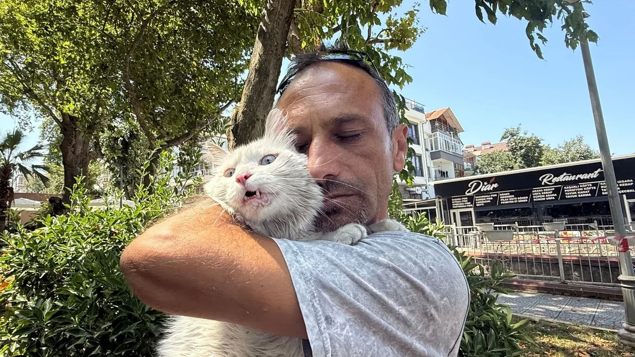 Kaybolan kedisinin ardından gözyaşlarına boğulmuştu! Bu kez mutluluktan ağladı 