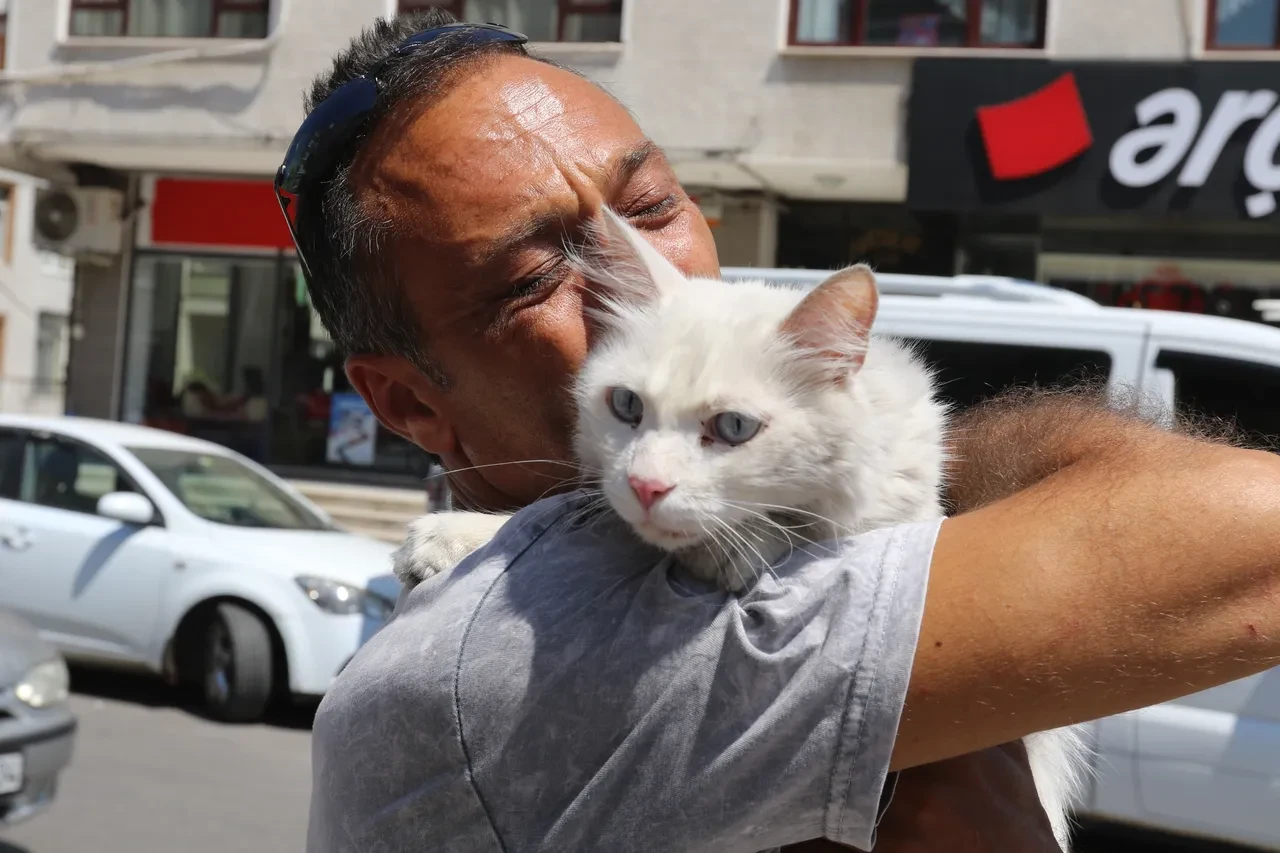 Kaybolan kedisinin ardından gözyaşlarına boğulmuştu! Bu kez mutluluktan ağladı 