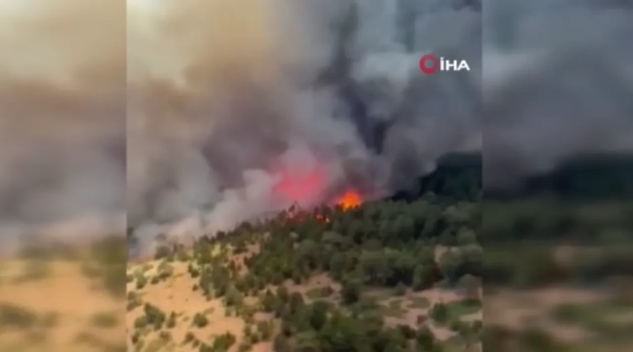 Konya'da orman yangını! Havadan ve karadan müdahale sürüyor