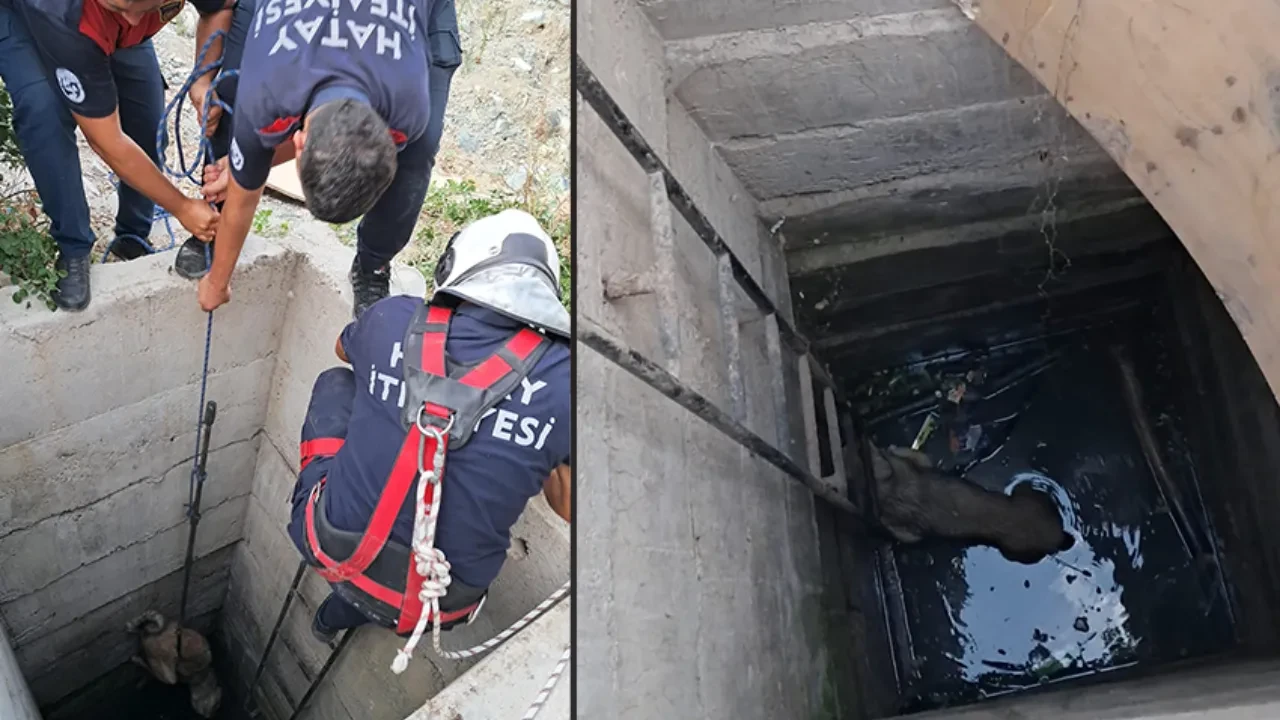 Antakya’da 10 metrelik kuyuya düşen köpeği itfaiye kurtardı