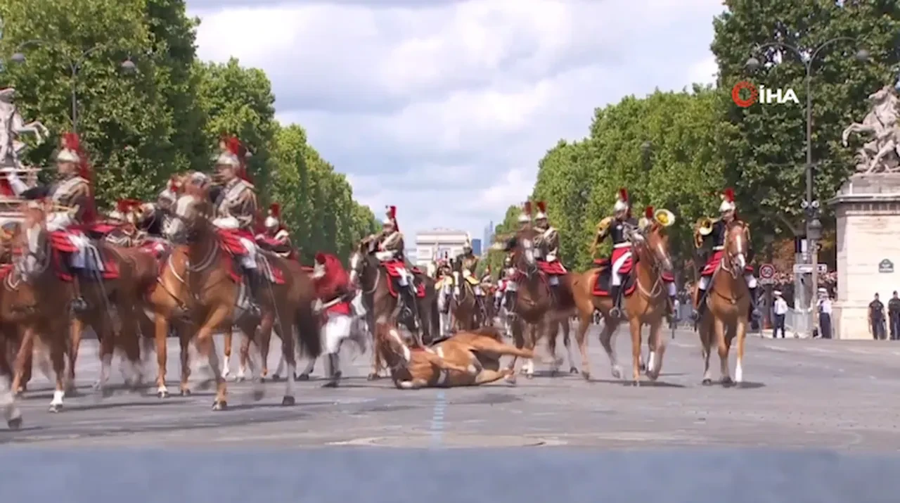 Asker kılıcıyla kulağını kesti, süvari atla beraber düştü! Fransa'da askeri tören dillere düştü