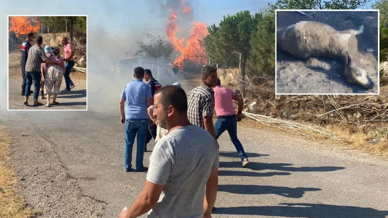 Çanakkale ve Tekirdağ'da korkutan yangın! Evler küle döndü, hayvanlar öldü, köylüler sinir krizi geçirdi