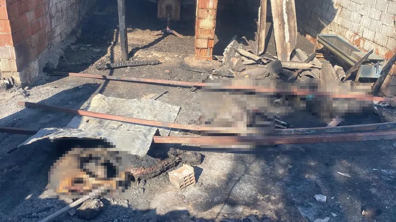 Çanakkale ve Tekirdağ'da korkutan yangın! Evler küle döndü, hayvanlar öldü, köylüler sinir krizi geçirdi