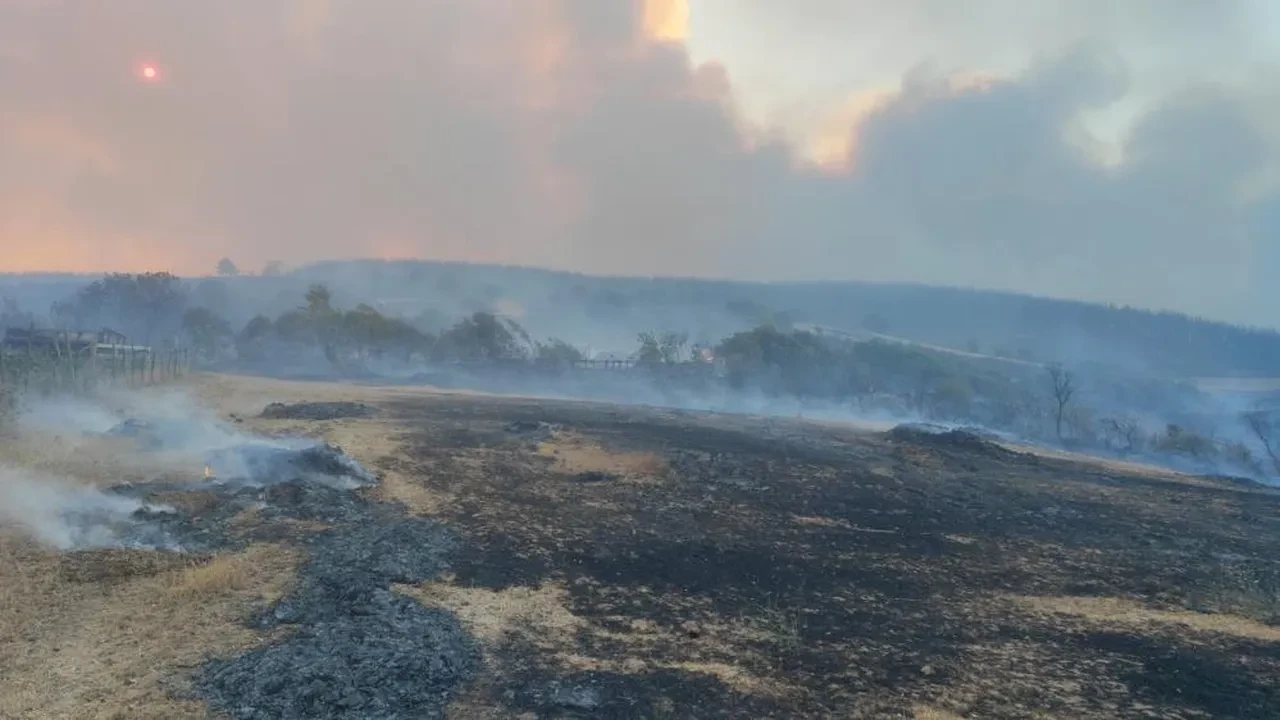 Çanakkale ve Tekirdağ'da korkutan yangın! Evler küle döndü, hayvanlar öldü, köylüler sinir krizi geçirdi
