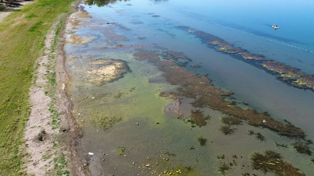 İznik Gölü'nde tedirgin eden görüntü! Sular çekildi, manzara bataklığa döndü