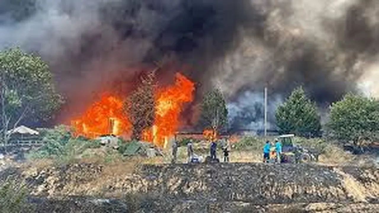 Tekirdağ'da orman yangını! Tarım arazileri yandı