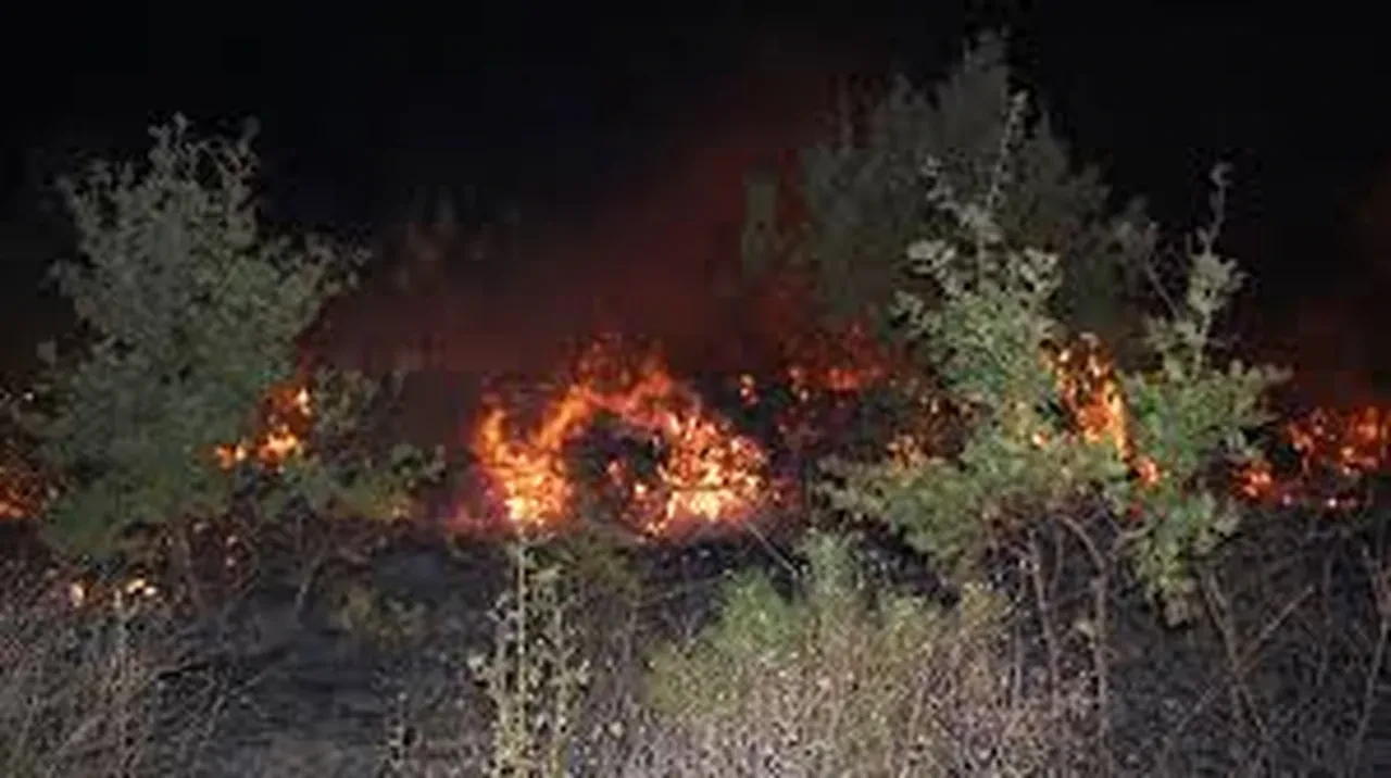Tekirdağ'da orman yangını! Tarım arazileri yandı